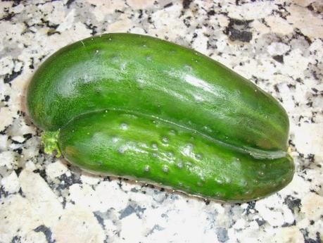 LAS RAREZA DE MI HUERTO