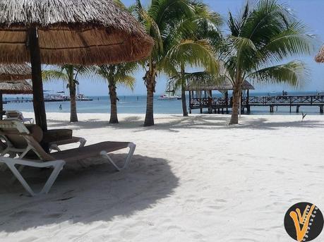 Isla Mujeres Palace: Tu Lugar Reservado en el Paraíso A sólo unos cuantos pasos