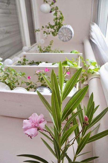 ANTES Y DESPUÉS: De trastero a BALCÓN CON ENCANTO