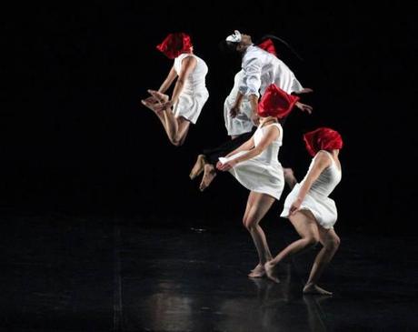 dictaminacion 20 de nov