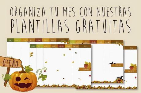 Nuevos organizadores de otoño