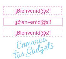 Enmarca tus Gadgets!