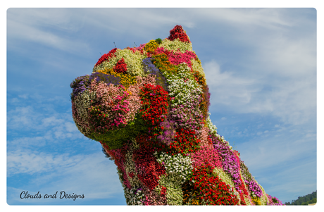 Proyecto de la A a la Z