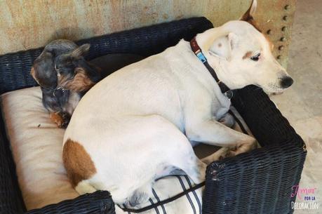 ROKC FURNITURES & ANTIQUES. ESPACIO DE ANTIGÜEDADES Y VANGUARDIA