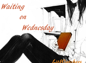 Waiting Wednesday #34: Confess Colleen Hoover