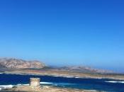 sabor verano vinos Vermentino