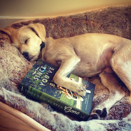 Reseña: Since You've Been Gone - Morgan Matson