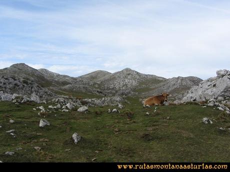 Ruta por el Aramo: Camino del Xistras al Barriscal