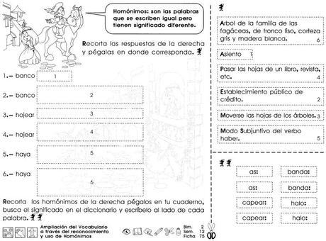 Ampliación del vocabulario a través del reconocimiento y uso de homónimos 5to grado Ampliación del vocabulario a través del reconocimiento y uso de homónimos