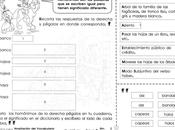 Ampliación vocabulario través reconocimiento homónimos grado