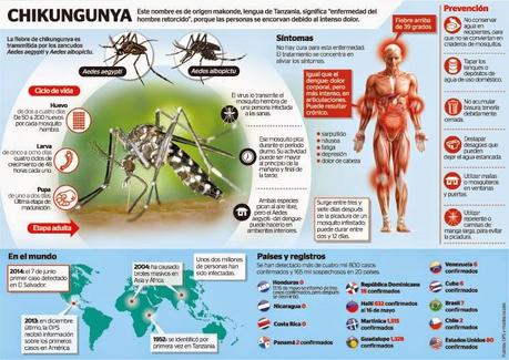 Que hacer si Sospechas Chikungunya
