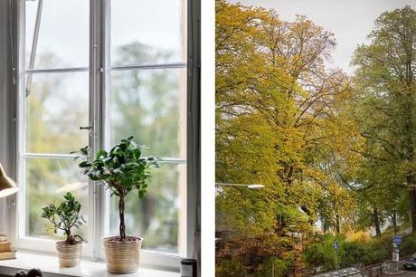 Piso pequeño con paredes grises pisos pequeños distribución Piso pequeño con paredes grises paredes grises estilo nórdico estilo nórdico escandinavo diseño interiores pequeños decoración mini pisos decoración espacios pequeños decoración en gris y negro blog decoracion interiores