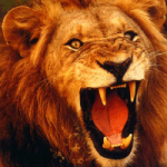 Rompe el molde al componer tus canciones Rasgar la voz – Pliegues falsos (Vídeo)