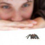 Fobias: Cómo superar los miedos