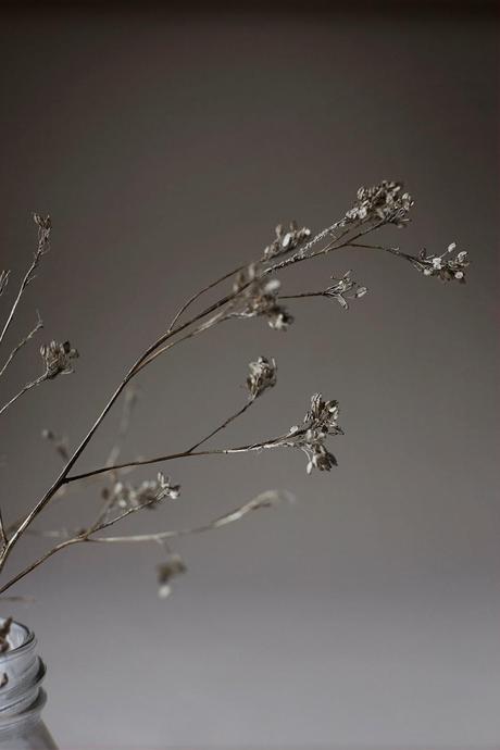 EL OTOÑO QUE NO LLEGA