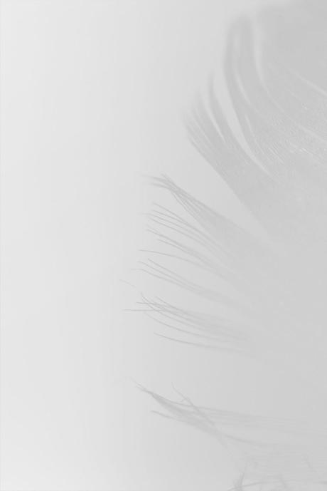 EL OTOÑO QUE NO LLEGA