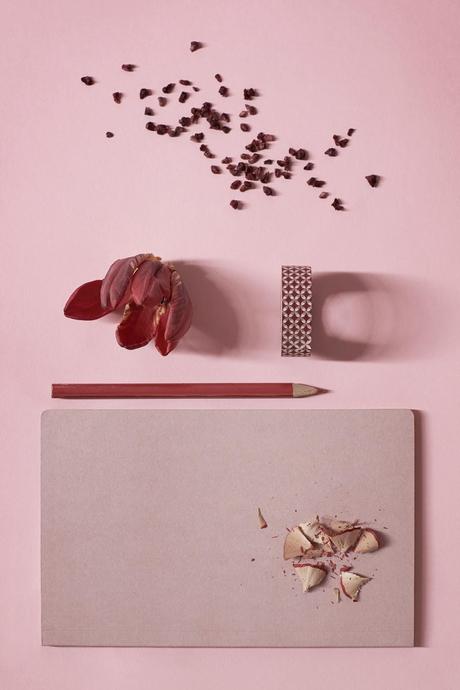 EL OTOÑO QUE NO LLEGA