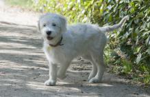 3alegria Freya jugando