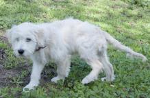 4dandovueltas Freya dando vueltas