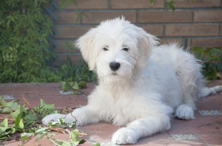 2sentada Freya tumbada