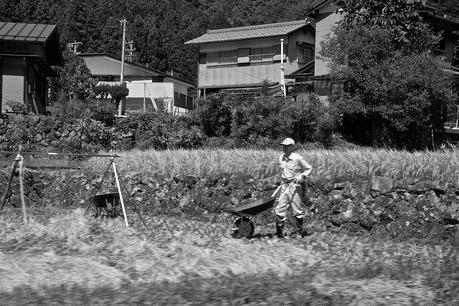 LA RUTA NIPONA: TAKAYAMA