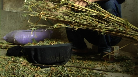 Lo que pasa en Ketama...