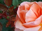 RESISTENCIA EXISTENCIA