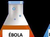 Analfabetos Almodóvar