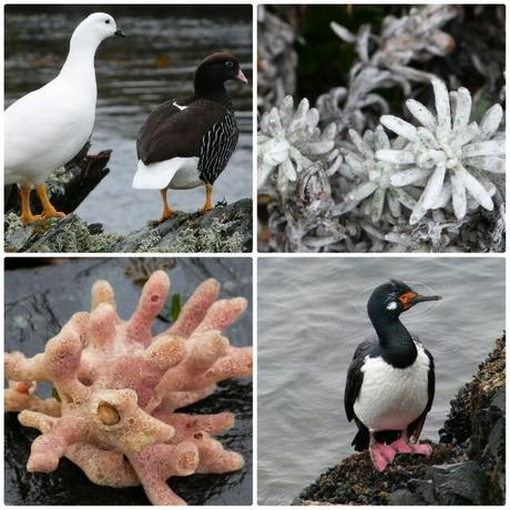 Naturaleza en Ushuaia