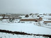 vacuna contra ansiedad depresión