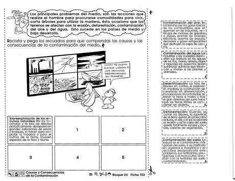 Causas y consecuencias de la contaminación