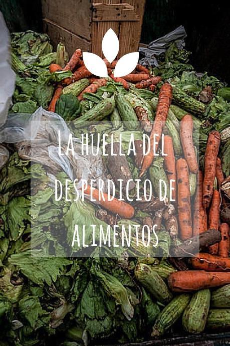 Desperdicio, Despilfarro, Alimentos, Alimenta Acción