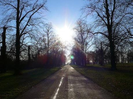 Hermana (Rosamund Lupton)
