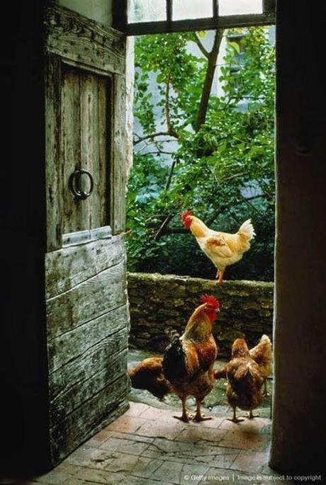 San Viernes y la cena guapa