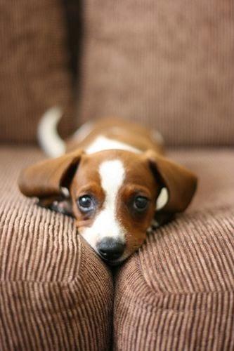 San Viernes y la cena guapa