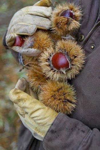 San Viernes y la cena guapa