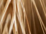 Detalles