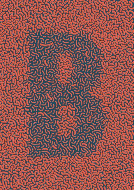 Optical-contractions