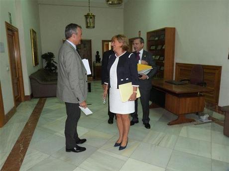 La presidenta de la DPT, Carmen Pobo, en el pleno de septiembre