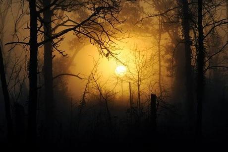 Hallan pruebas de vida después de la muerte