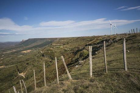 Sargentes de la Lora