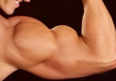 Consigue volumen en tus brazos: El Bíceps