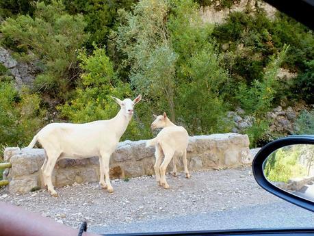 TRIP&CHIC: Gorges du Verdon TRIP&CHIC: Gorges du Verdon