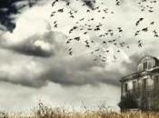 días para carrera terrorífica