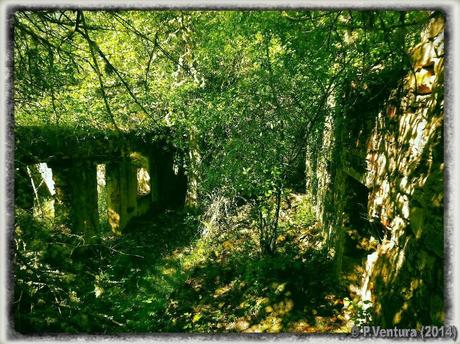 Tunel de la Engaña  ( 2ª Parte)