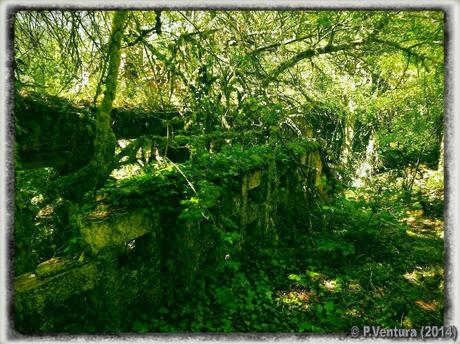 Tunel de la Engaña  ( 2ª Parte)