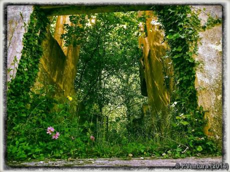 Tunel de la Engaña  ( 2ª Parte)