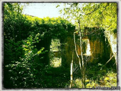 Tunel de la Engaña  ( 2ª Parte)