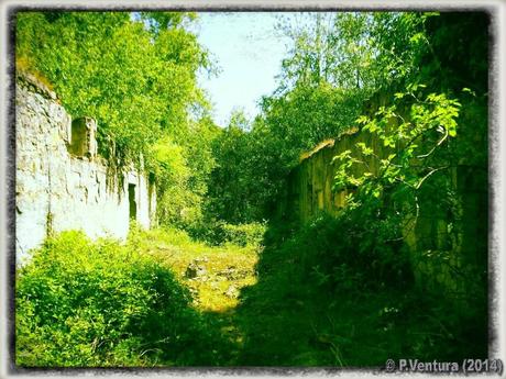 Tunel de la Engaña  ( 2ª Parte)