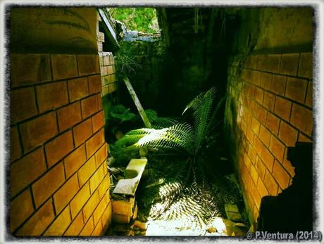 Tunel de la Engaña  ( 2ª Parte)